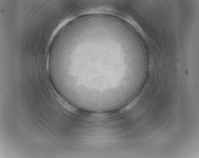 X0000060751224200511241655