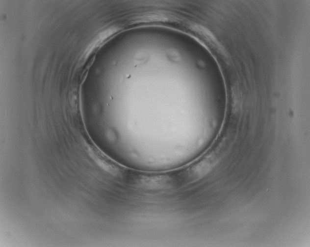 X0000060751225200511241655