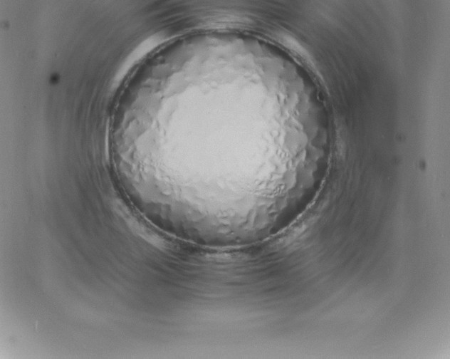 X0000060751227200511241655