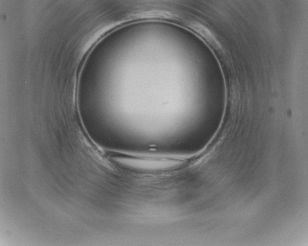 X0000060751228200511241655