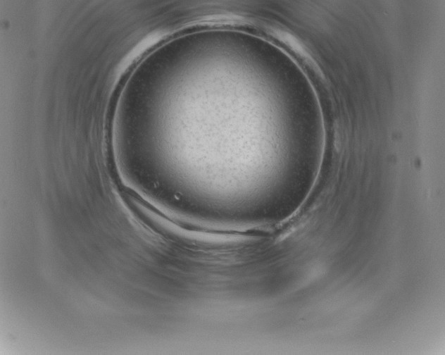 X0000060751229200511241655