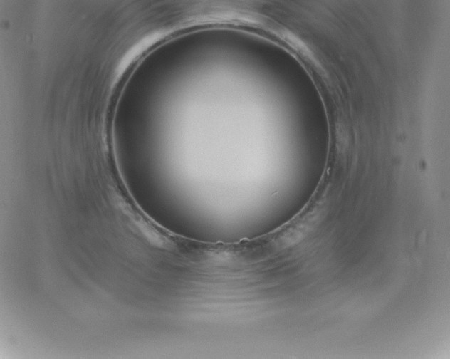 X0000060751230200511241655