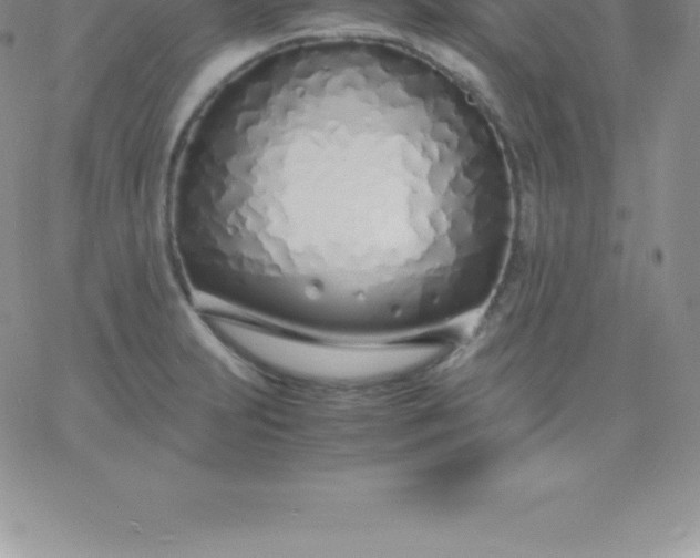 X0000060751231200511241655