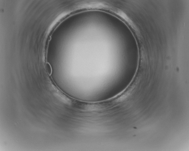 X0000060751232200511241655