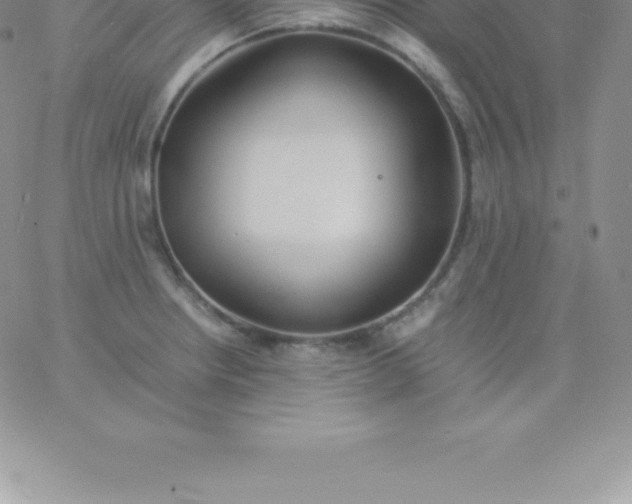 X0000060751234200511241655