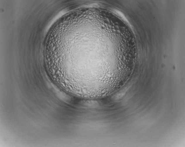 X0000060751235200511241655