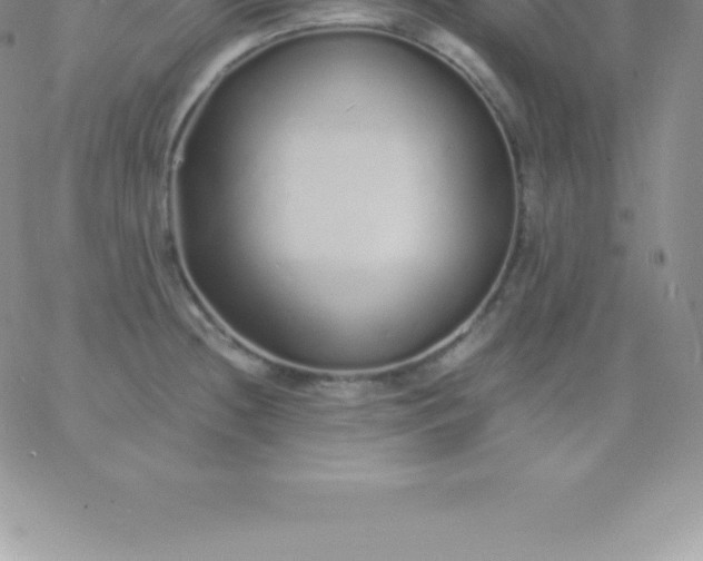 X0000060751236200511241655