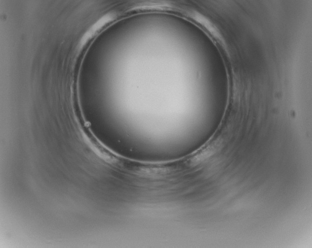 X0000060751237200511241655