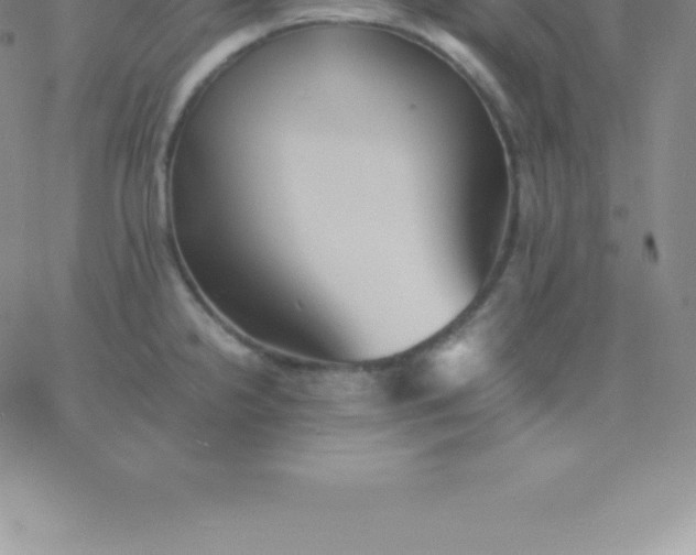 X0000060751238200511241655