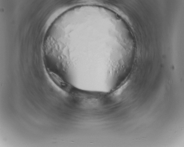 X0000060751239200511241655