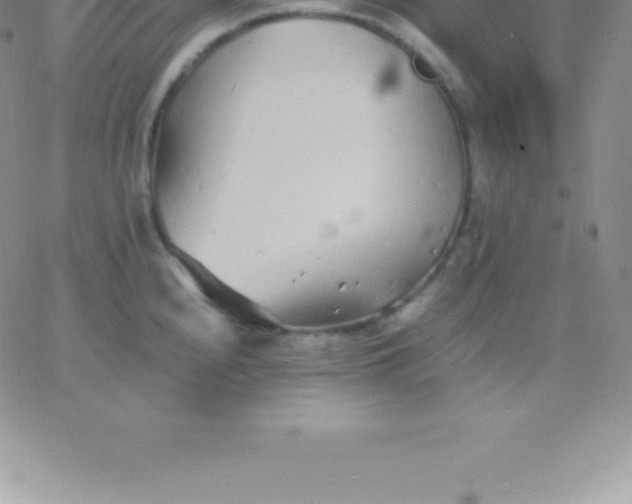 X0000060751240200511241655