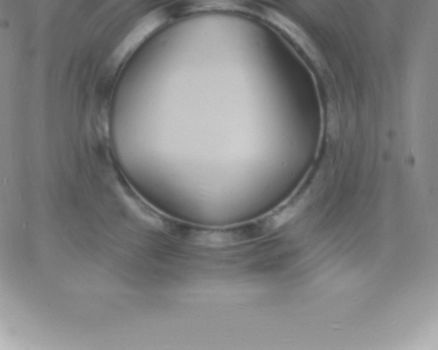 X0000060751241200511241655