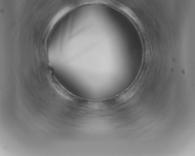 X0000060751242200511241655