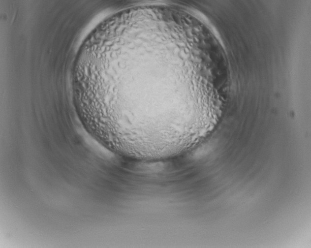 X0000060751243200511241655