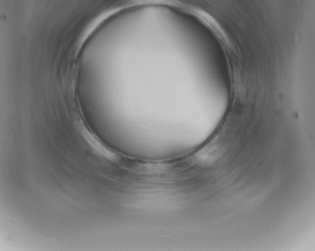 X0000060751244200511241655