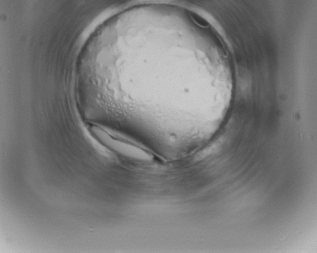 X0000060751245200511241655