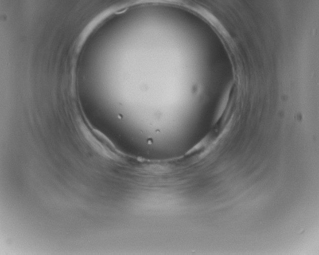 X0000060751246200511241655