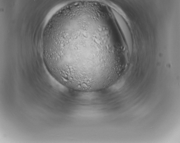 X0000060751247200511241655