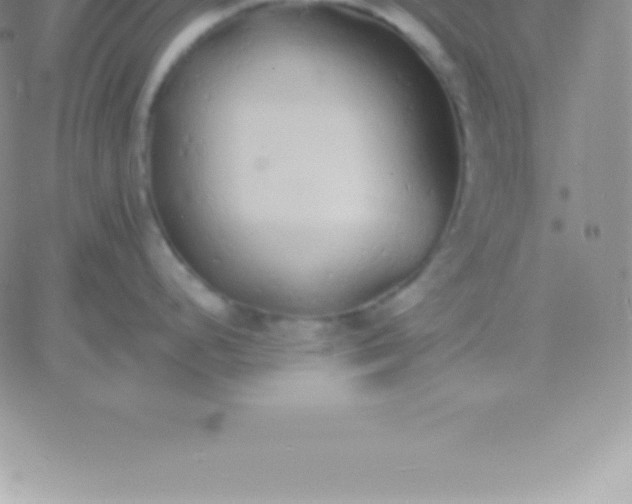 X0000060751248200511241655