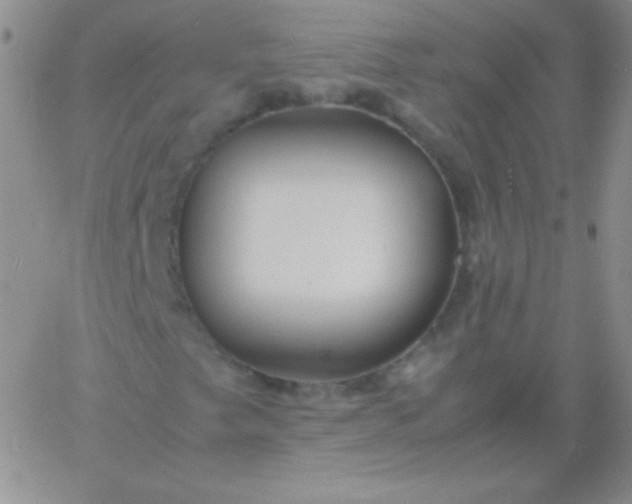 X0000060751249200511241654