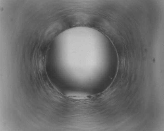 X0000060751250200511241654