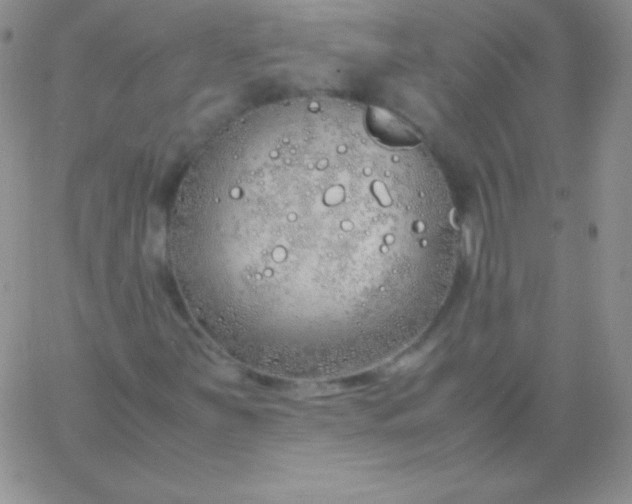 X0000060751251200511241654