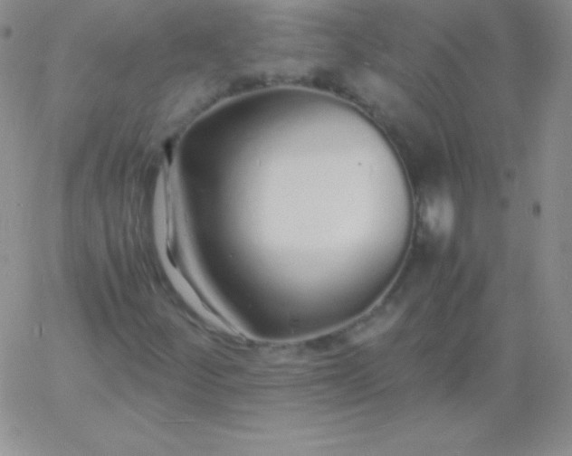 X0000060751252200511241654