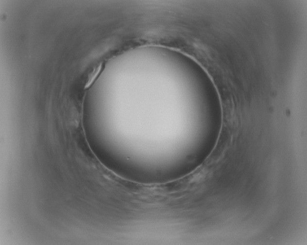 X0000060751253200511241654