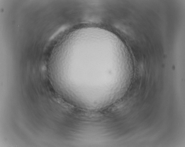 X0000060751254200511241654