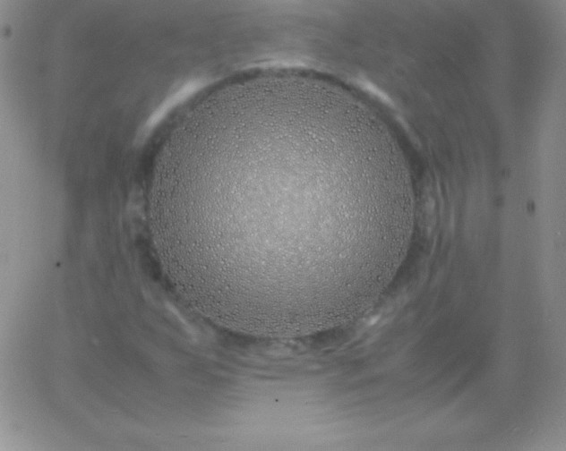 X0000060751255200511241654