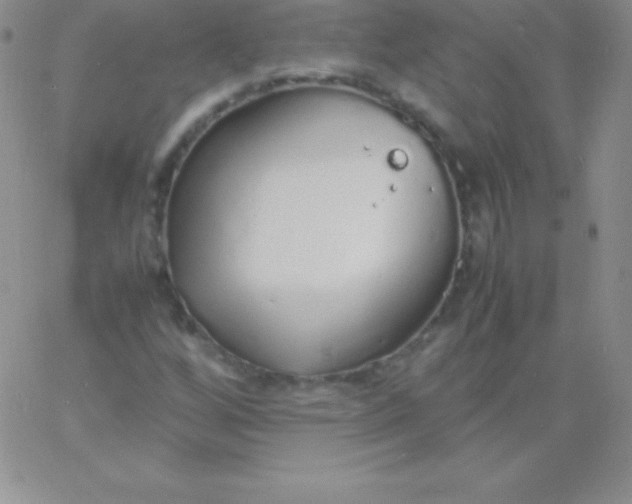 X0000060751256200511241654