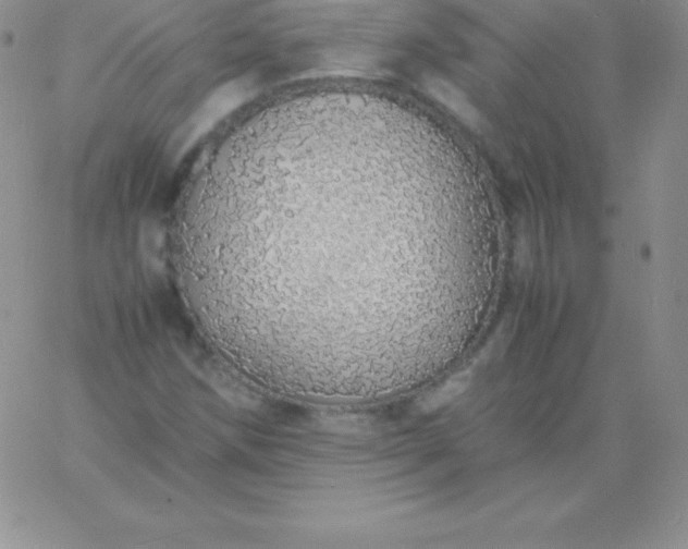 X0000060751258200511241654