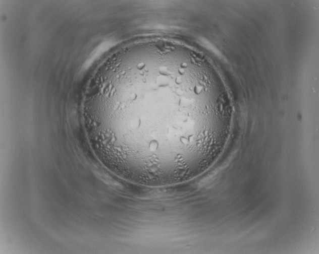 X0000060751259200511241654