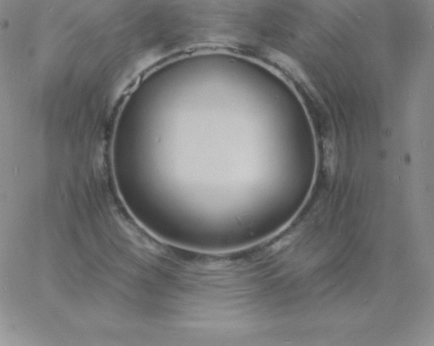 X0000060751260200511241654