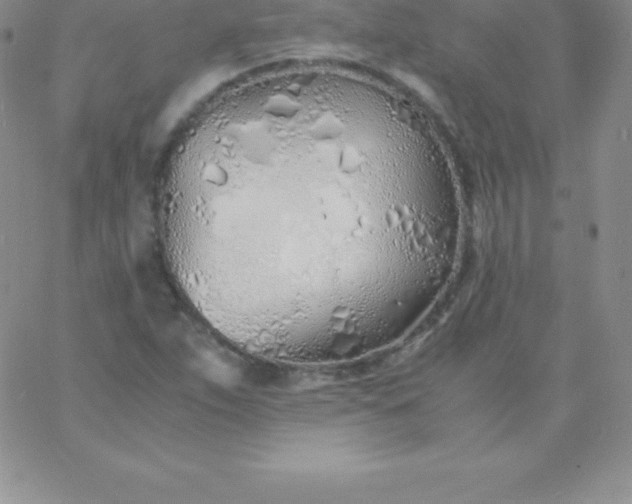 X0000060751263200511241654