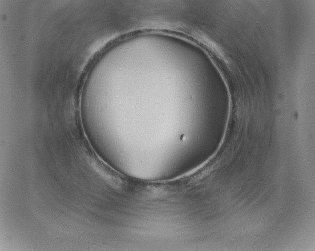 X0000060751264200511241654