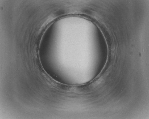 X0000060751265200511241654