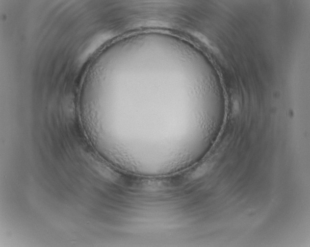 X0000060751266200511241654