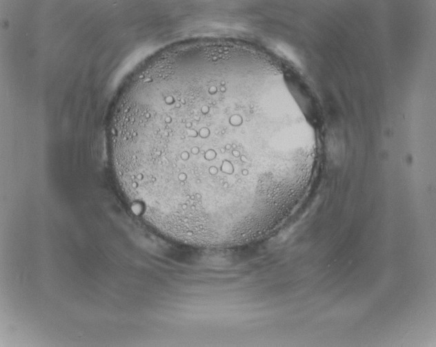 X0000060751267200511241654