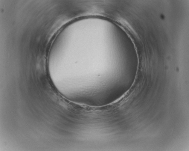 X0000060751268200511241654