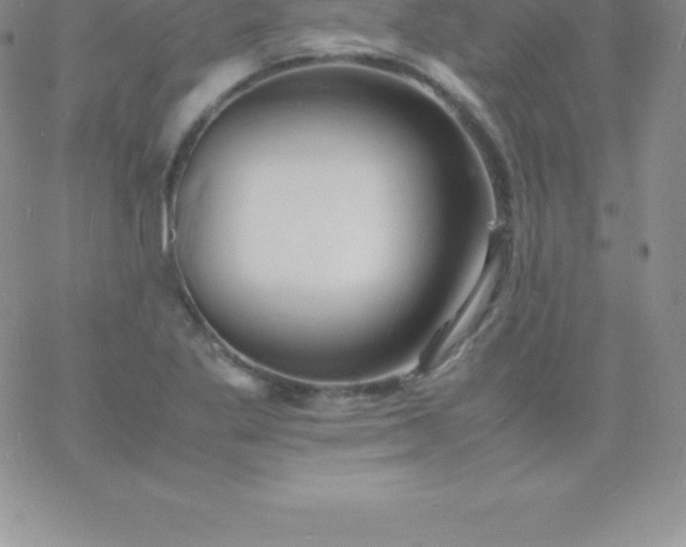 X0000060751269200511241654