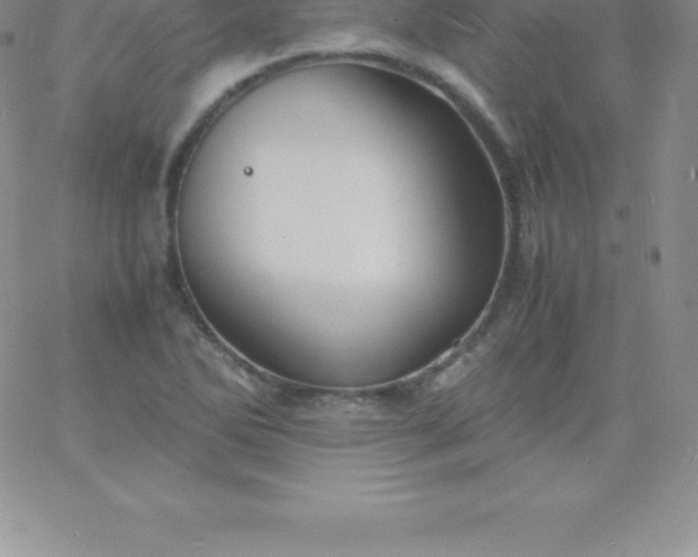 X0000060751270200511241654