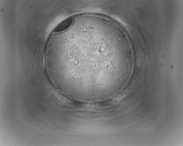 X0000060751271200511241654