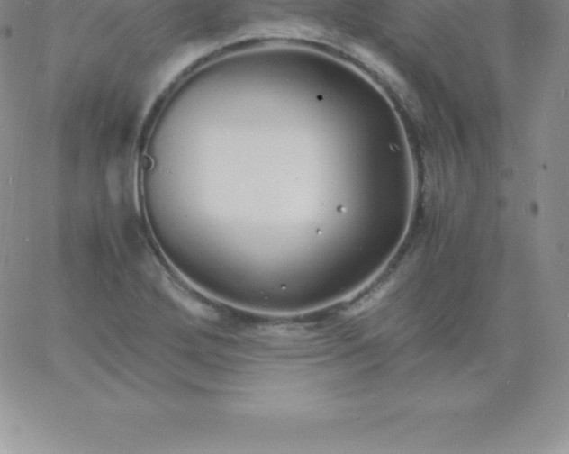 X0000060751272200511241654