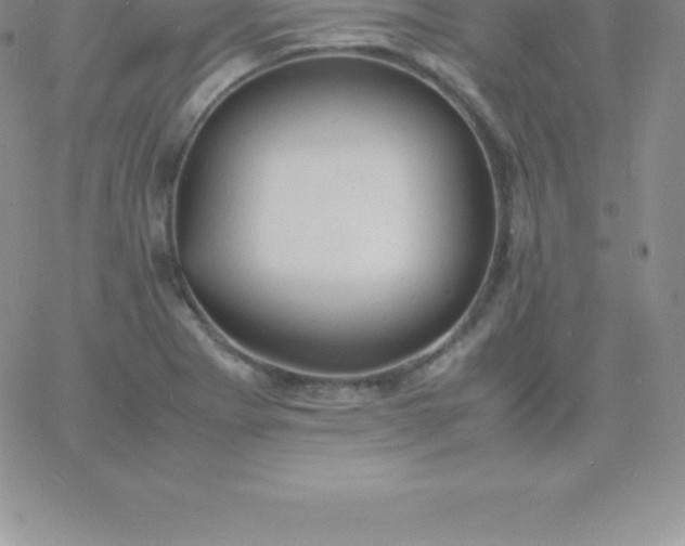 X0000060751273200511241654