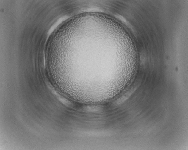 X0000060751274200511241654