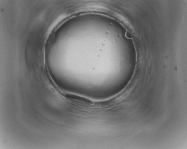 X0000060751275200511241654