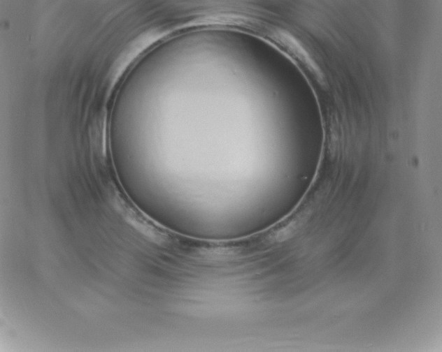 X0000060751276200511241654