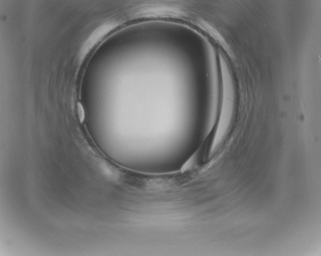 X0000060751277200511241654