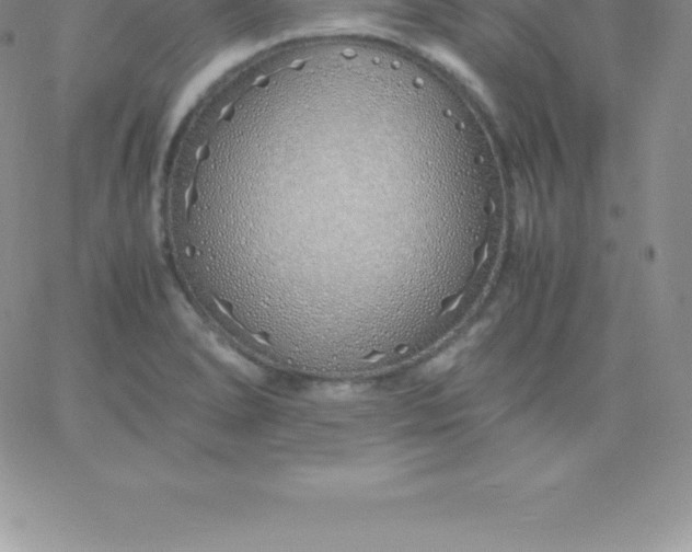 X0000060751278200511241654